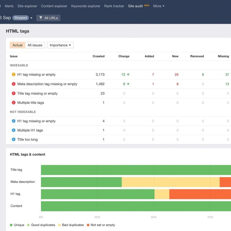 Ahrefs Audit Report